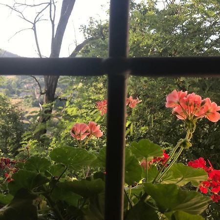 Antica Dimora Di Laura Apartment บาร์เบริโน ดิ มูเจลโล ภายนอก รูปภาพ