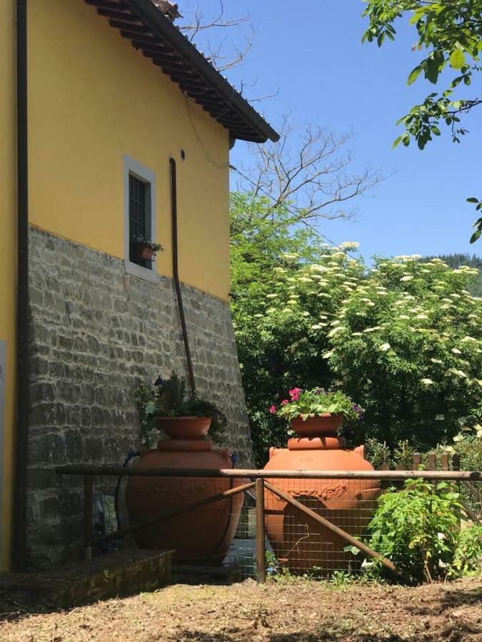 Antica Dimora Di Laura Apartment บาร์เบริโน ดิ มูเจลโล ภายนอก รูปภาพ