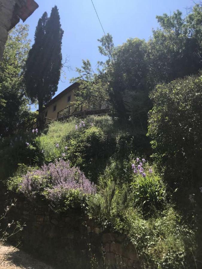 Antica Dimora Di Laura Apartment บาร์เบริโน ดิ มูเจลโล ภายนอก รูปภาพ