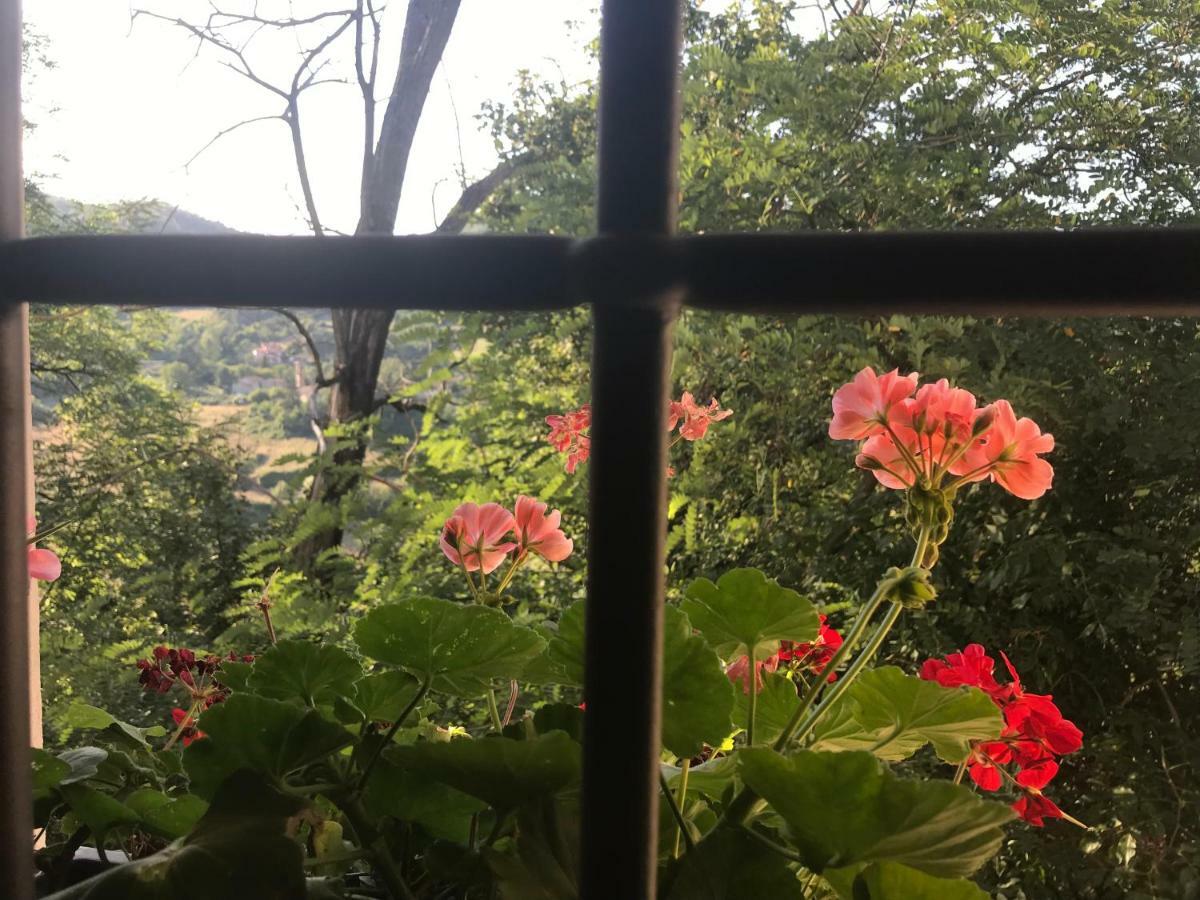 Antica Dimora Di Laura Apartment บาร์เบริโน ดิ มูเจลโล ภายนอก รูปภาพ